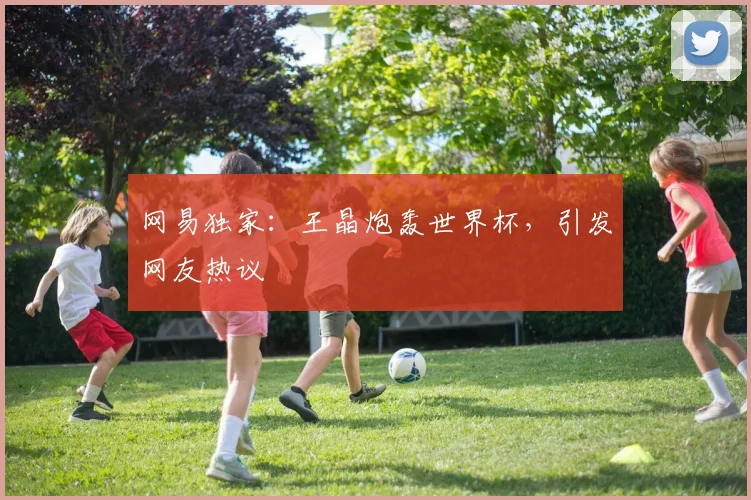 网易独家:王晶炮轰世界杯,引发网友热议