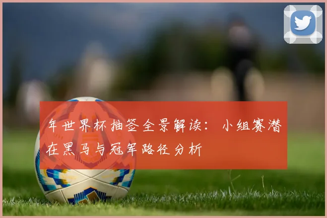 年世界杯抽签全景解读：小组赛潜在黑马与冠军路径分析