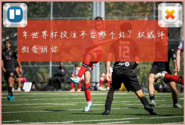 年世界杯投注平台哪个好？权威评测告诉你