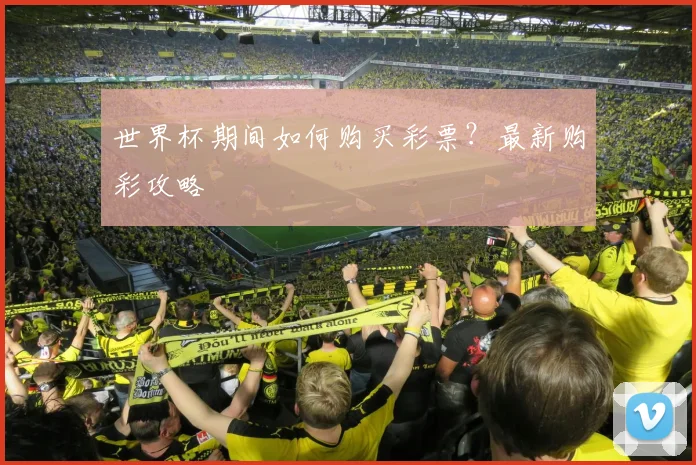 世界杯期间如何购买彩票?最新购彩攻略