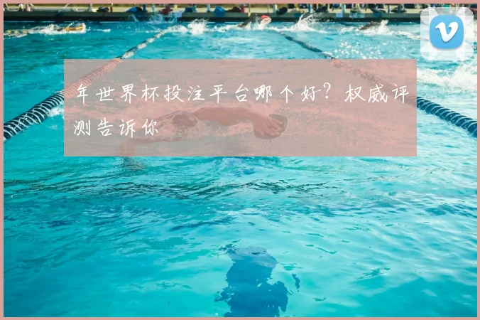 年世界杯投注平台哪个好？权威评测告诉你