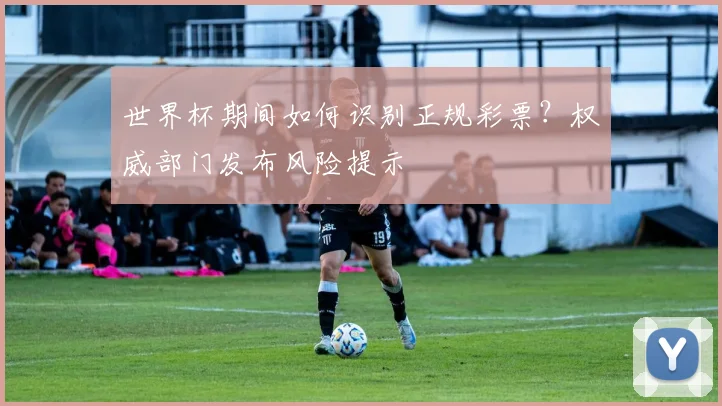 世界杯期间如何识别正规彩票？权威部门发布风险提示